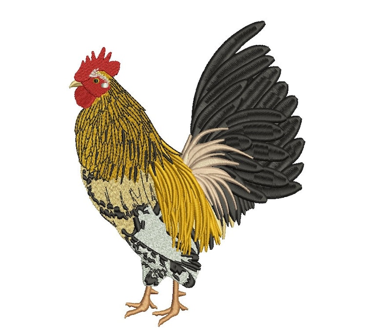 Red and yellow rooster filled machine embroidery digitized  etsy