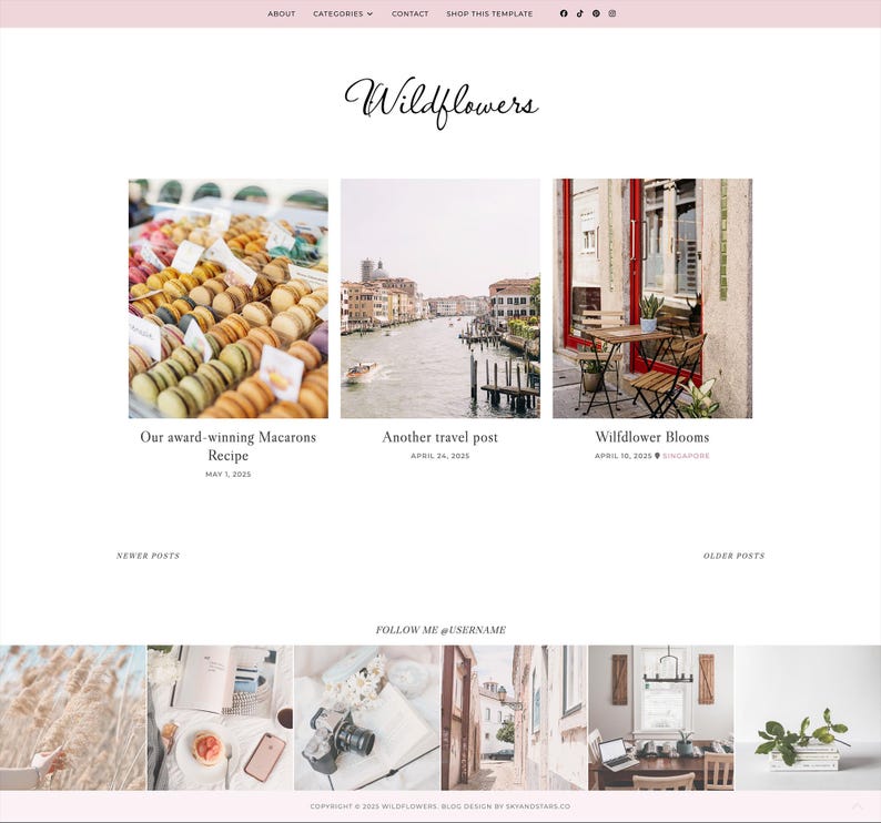 May include: A website template with a pink header and footer, featuring the title "Wildflowers" in elegant script. The site showcases blog posts with images of macarons, a canal, and a cafe. The footer includes social media links and copyright information.