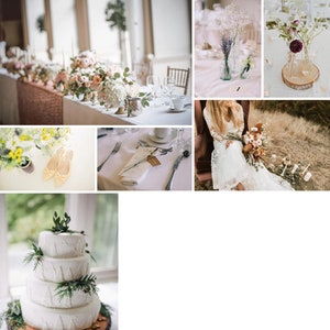 May include: A website gallery featuring wedding photography. Images include floral arrangements, table settings, a wedding cake, and a bride in a lace dress. The website's header includes the name "ADRIANNA" and navigation links: Home, About, Portfolio, Investment, Blog, and Contact.