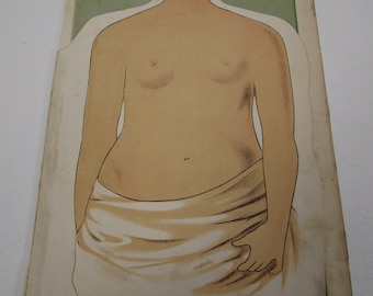 Antique anatomical medical chart human female torso EJ Stanley 1901