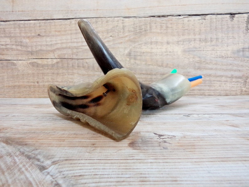 Vintage Bull Horn Horn Pencil Holder Horn on a Horn Stand Etsy