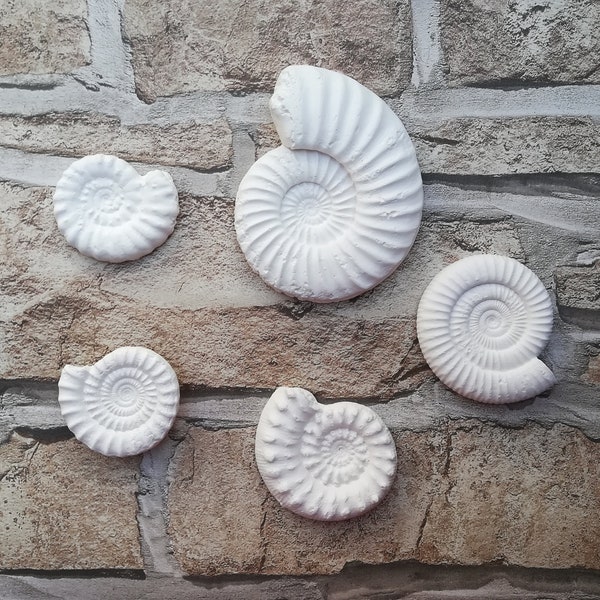Plaster Cast Ammonites To Paint - Jurassic Fossils Cast Moulds Fun Educational Birthday party Activity For All Ages - Arts & Crafts creative