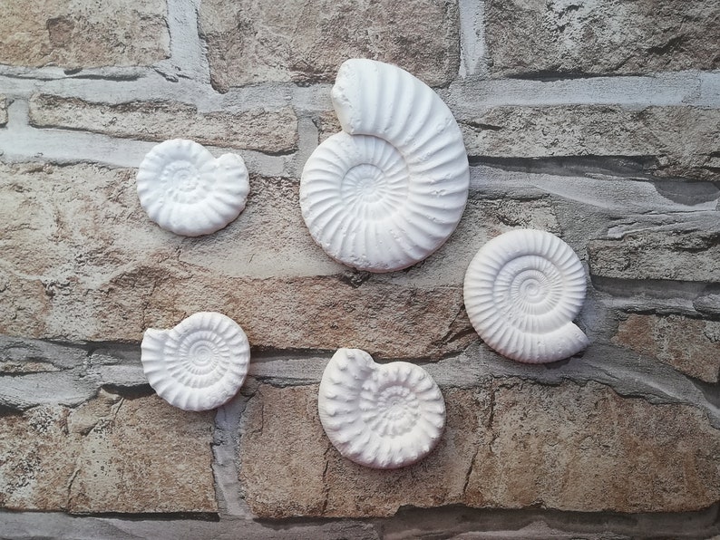 Fossile Dating-Aktivität
