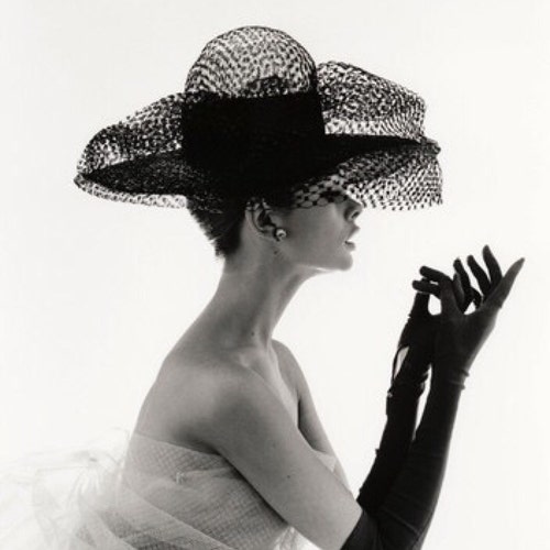 Audrey Hepburn Big Hat Classic Art 