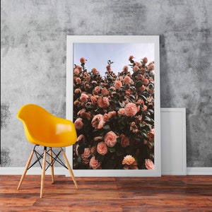 Camellias in Portland Photography Artwork - Classic Art Wall Art Print Poster Rolled Cotton Matt Canvas Photo