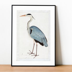 Puede incluir: Impresión enmarcada de una ilustración de una garza azul. El ave está representada en tonos azules, grises y negros, con un cuello y pico largos. La obra de arte está sobre un fondo blanco y enmarcada en negro.