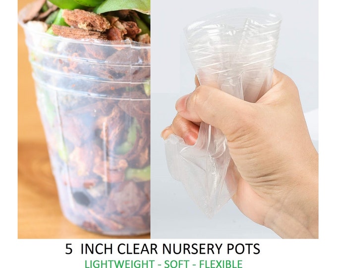 5 Inch Clear Nursery Pots [20 Pots]