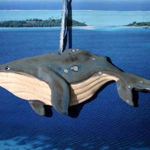 Humpback Whale