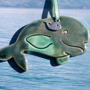 Beluga Whale