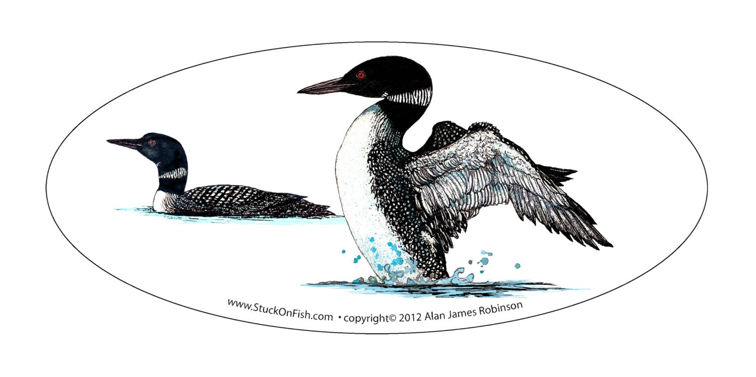 Loon Dance 6 Decal Free Shipping | Etsy