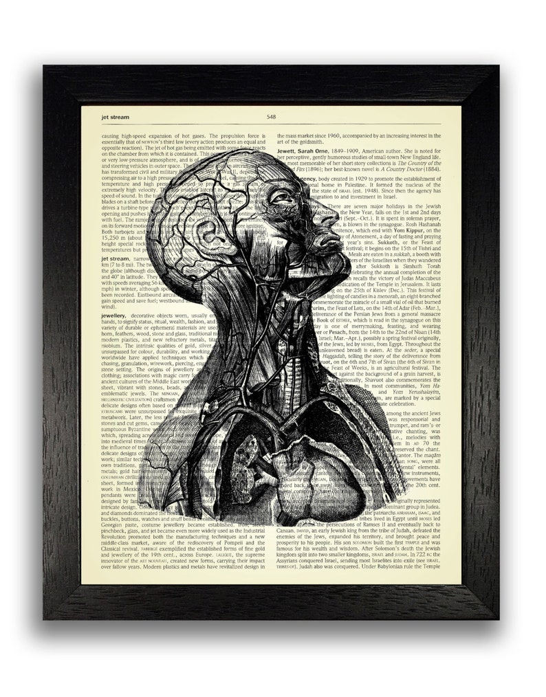 ANATOMICAL SET Anatomy Print Set Medical Wall Art | Etsy