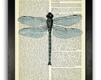 Green Dragonfly Art Print, Insect Illustration, Dictionary Art Print, Garden Wall Decor, Gift for Gardener, Insect Painting, Cool Artwork