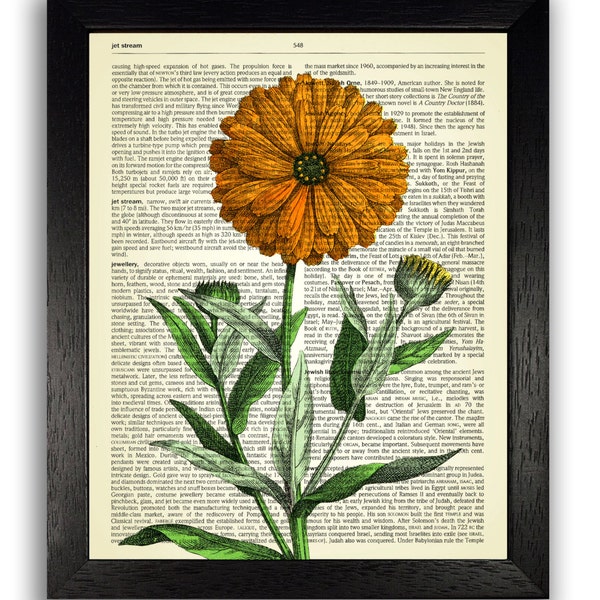 WALL ART Marigold fleur Print Vintage, décoration murale de cuisine, maison estampes, botanique cadeau, anniversaire présentes, dictionnaire Art, Decor fleur