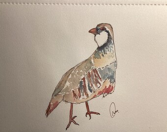 Original Watercolour Drawing - Partridge (2024 - Signed and Dated in the back)