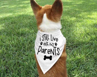 Pañuelo divertido para perro con collar, bufanda sarcástica para mascotas