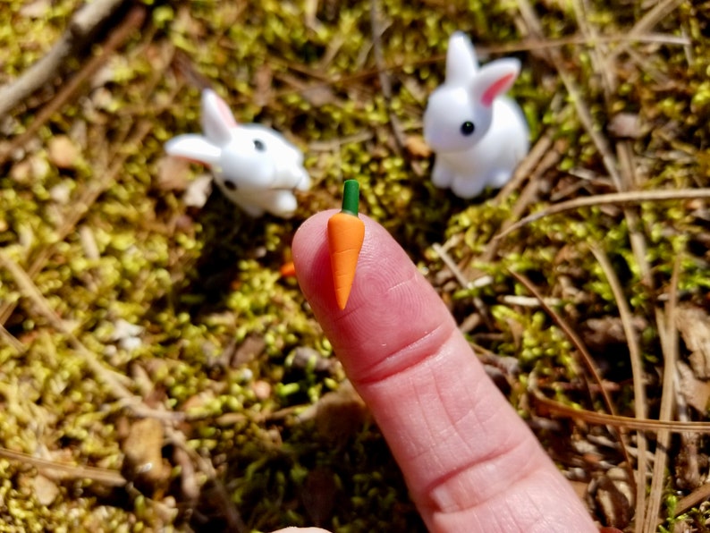 Miniature Bunny Rabbits and Carrots Perfect for Fairy Gardens, Doll Houses, Dioramas, Terrariums, Easter, Spring Crafts Set of 2 image 5