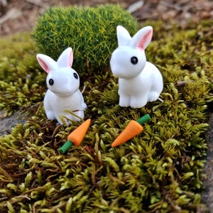 Miniature Bunny Rabbits and Carrots Perfect for Fairy Gardens, Doll Houses, Dioramas, Terrariums, Easter, Spring Crafts Set of 2 image 1