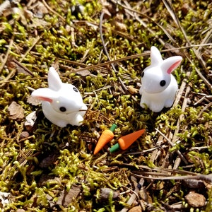 Miniature Bunny Rabbits and Carrots Perfect for Fairy Gardens, Doll Houses, Dioramas, Terrariums, Easter, Spring Crafts Set of 2 image 4