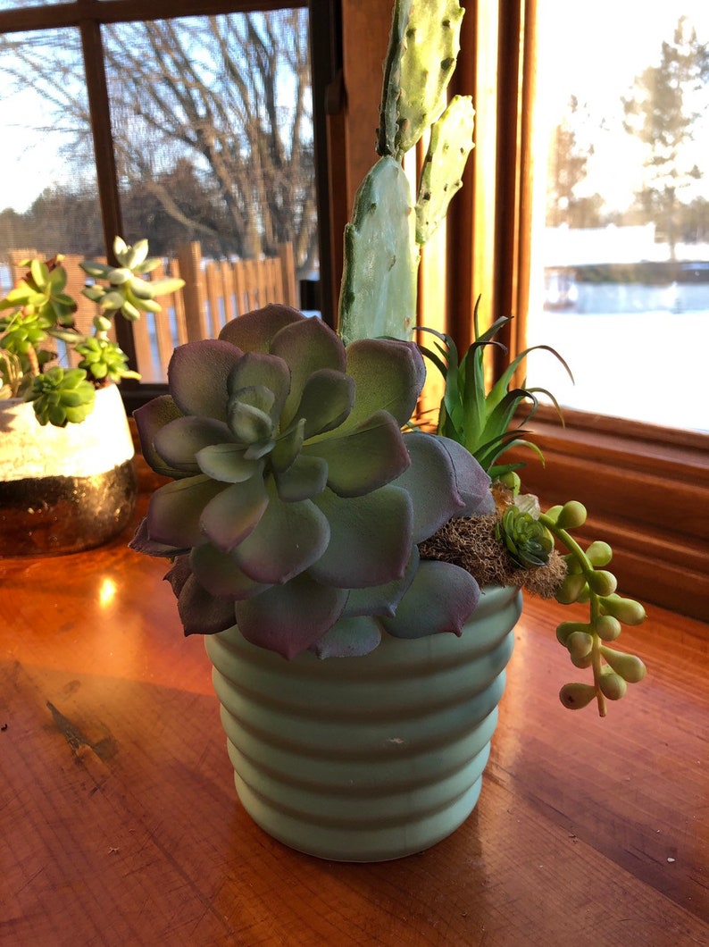 cactus planter Citrine infused artificial succulent planter succulent pot citrine and plants