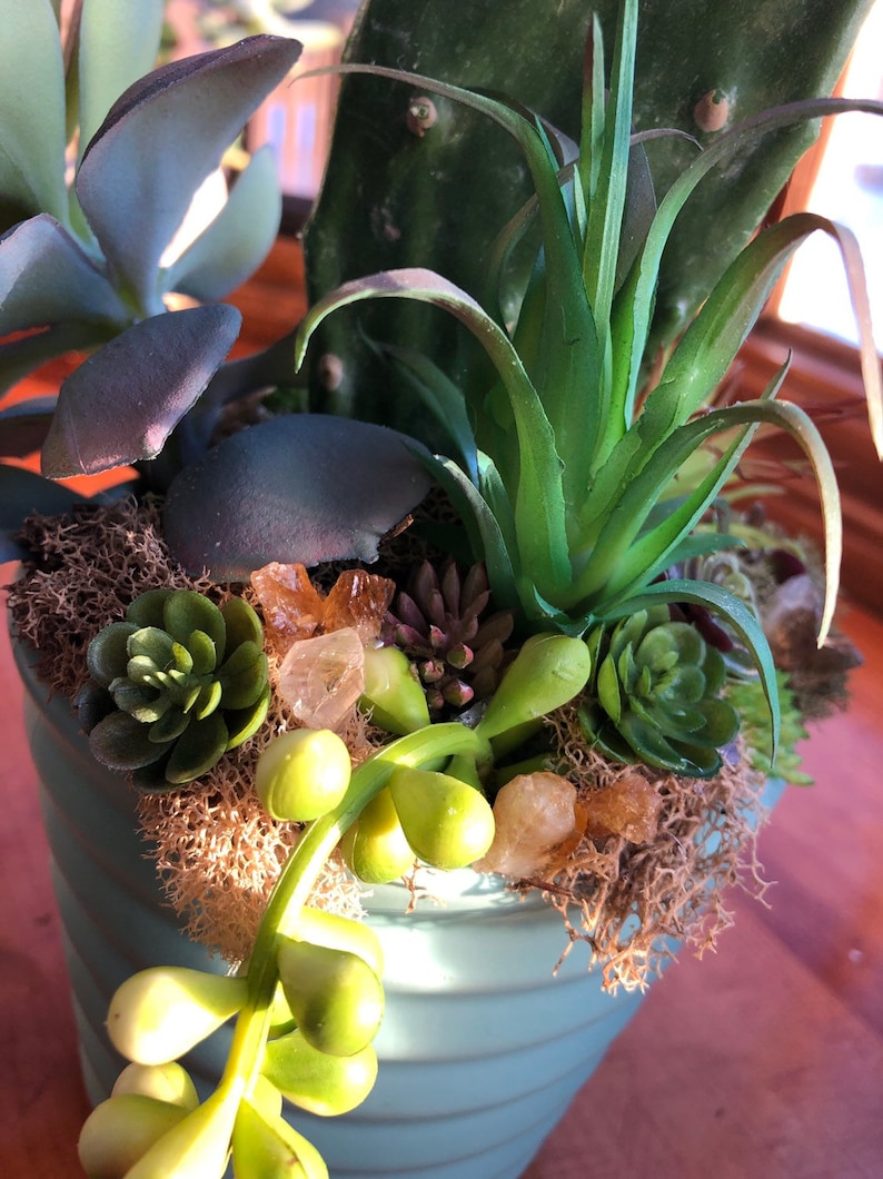 cactus planter Citrine infused artificial succulent planter succulent pot citrine and plants