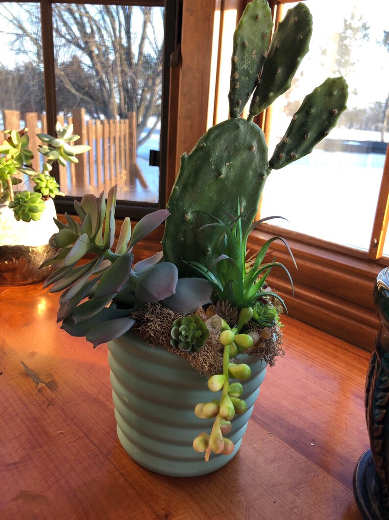 cactus planter Citrine infused artificial succulent planter succulent pot citrine and plants