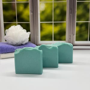Spa Day Soap/ Artisan Soap / Handcrafted Soap / Soap / Bar Soap
