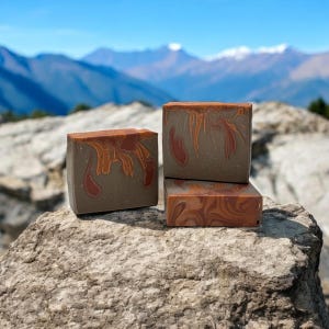 Cinnamon Stick Soap / Artisan Soap / Handmade Soap / Soap / Bar Soaps