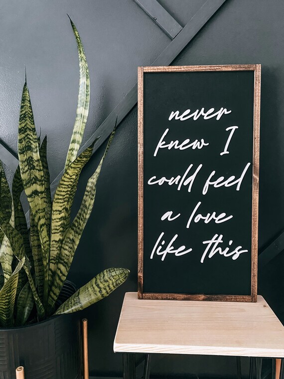 Never knew I could feel a love like this sign - wooden sign - home decor sign - laser cut sign - 3D lettering