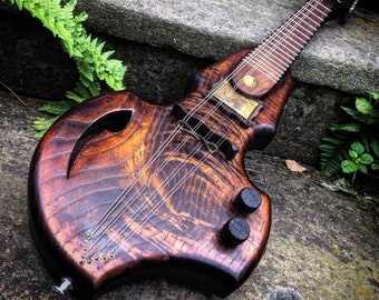 Electric mandolin.