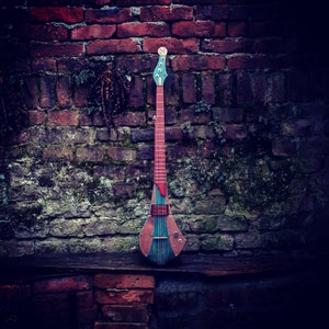 Electric banjo. Solid body 5 string banjo with a humbucker pickup.