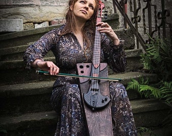 Solid body fretted cello.