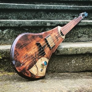 Electric banjo/ Solid body banjo with humbucker/ DaShtick banjo