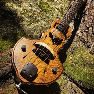 Electric hurdy-gurdy guitar