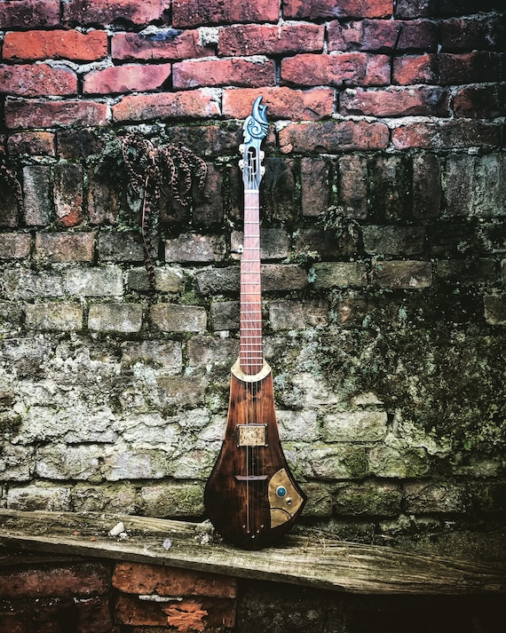 Electric banjo online for sale
