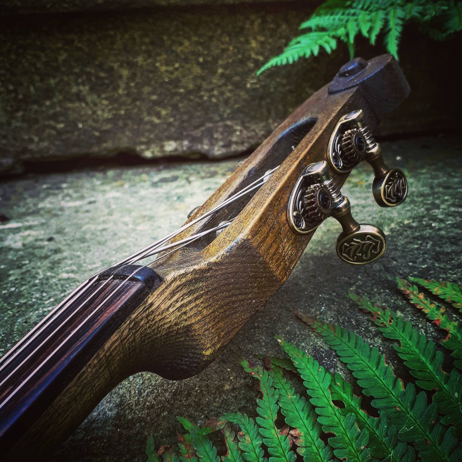 Electric Cello With a Pickup Etsy