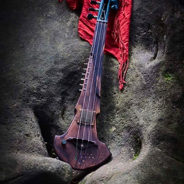 Electric Tarpan - fretless viola with sympathetic strings.