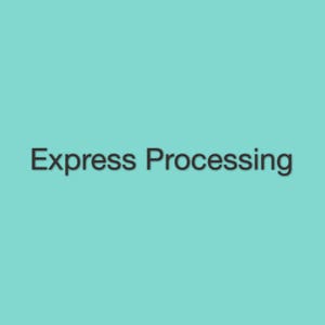 May include: Express Processing text in black on a light blue background.