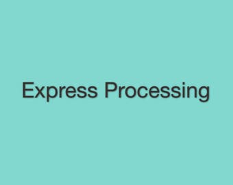 May include: Express Processing text in black on a light blue background.