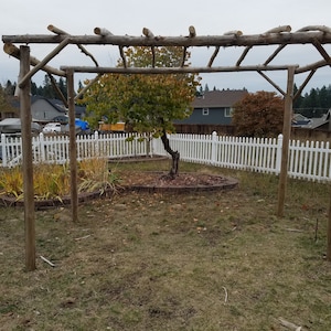 Driftwood Pergola Garden Trellis Vineyard Trellis