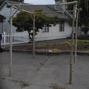 Driftwood Chuppah Wedding Arch Arbor Canopy Huppah Jewish Wedding Ceremony H 7 ft x W 6ft Free Standing CH1 image 4