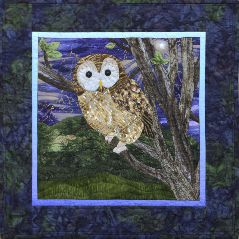 Beautiful Birds Applique Quilt Pattern Book by Susan Taylor Etsy