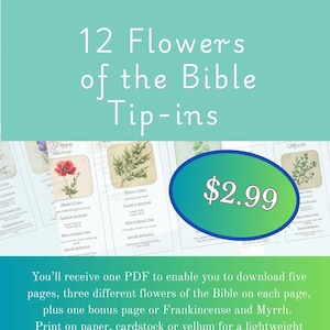 Flowers of the Bible Tip-Ins | Botanical Scripture Study (Digital Download)