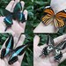4pcs real butterfly butterfly taxidermy butterflies real spread wings butterfly blue butterfly black white orange butterfly for Jewelry