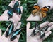 4pcs real butterfly butterfly taxidermy butterflies real spread wings butterfly blue butterfly black white orange butterfly for Jewelry 