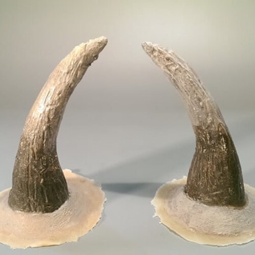 Triple Devil Horns / Silicone Prosthetic / Halloween / Demon / Etsy UK