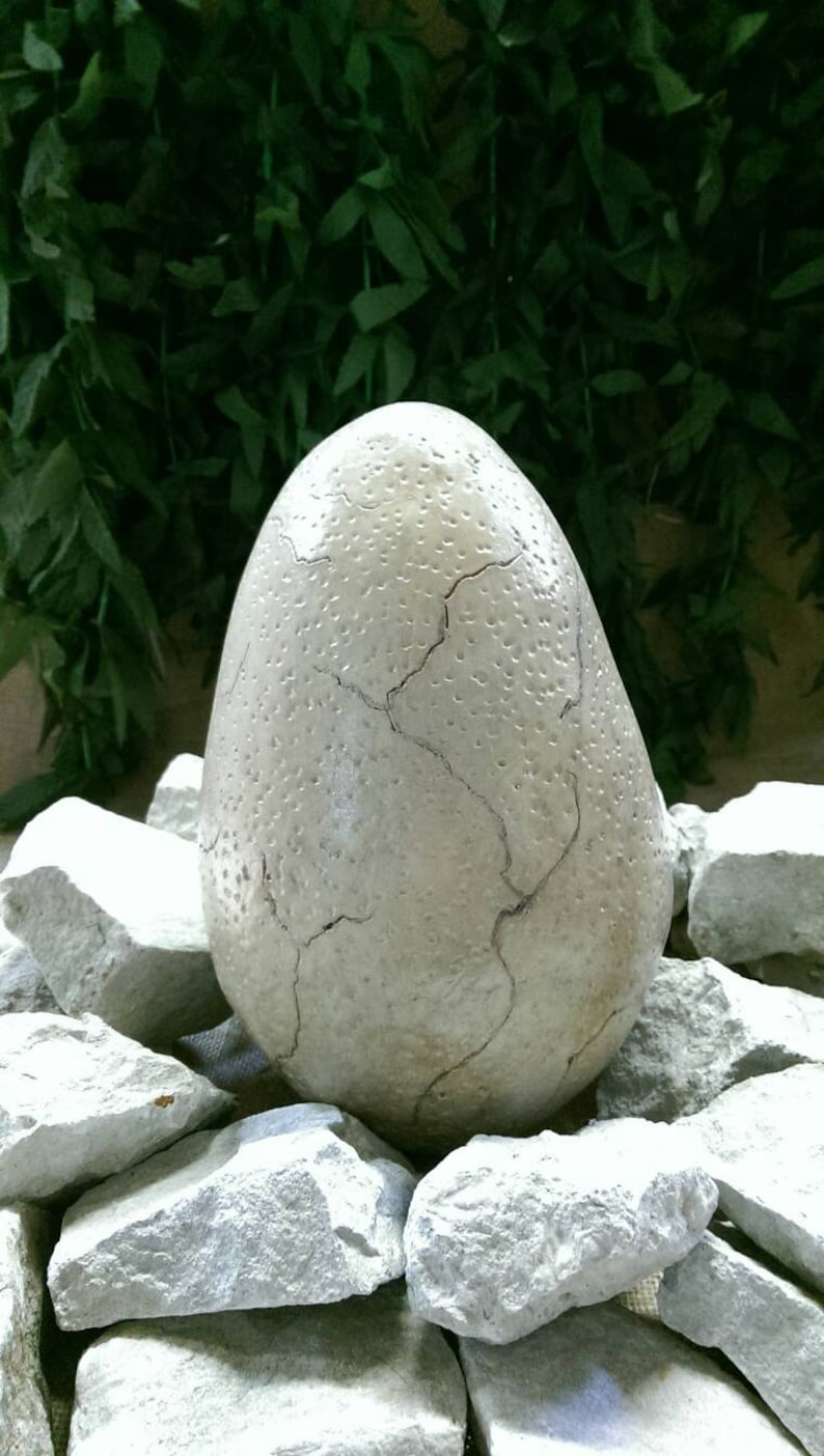 t rex egg fossil