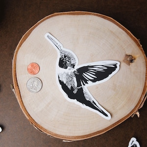 Hummingbird_Monrovia_BW_2018