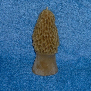 Morel Mushroom Candle