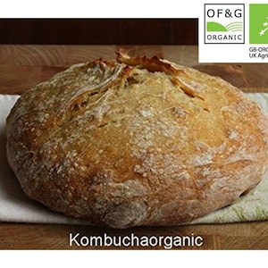 UKAS Lab Tested Certified OF&G Organic 40 year old Wild Yeast Sourdough Starter Rye Wholemeal Cumbria Lake District UK from Kombuchaorganic®