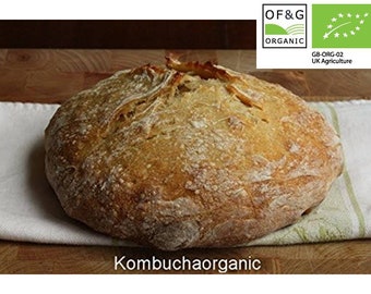 UKAS Lab Tested Certified OF&G Organic 40 year old Wild Yeast Sourdough Starter Rye Wholemeal Cumbria Lake District UK from Kombuchaorganic®